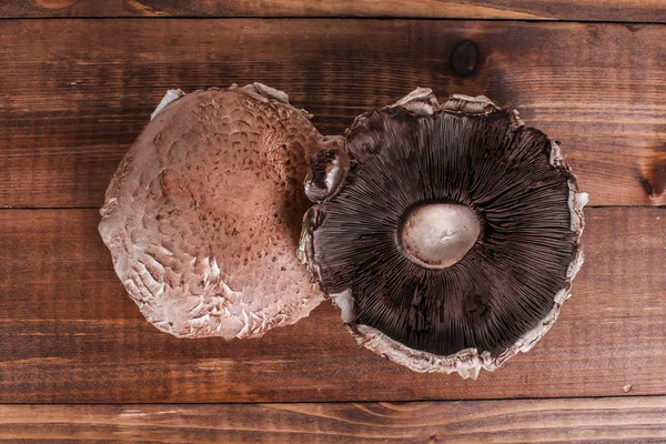 Две крышки для грибов — стоковое фото