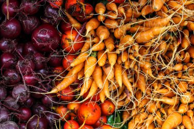 Taze kırmızı pancar ve havuç