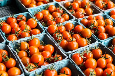 2 kağıt kaplarda domates