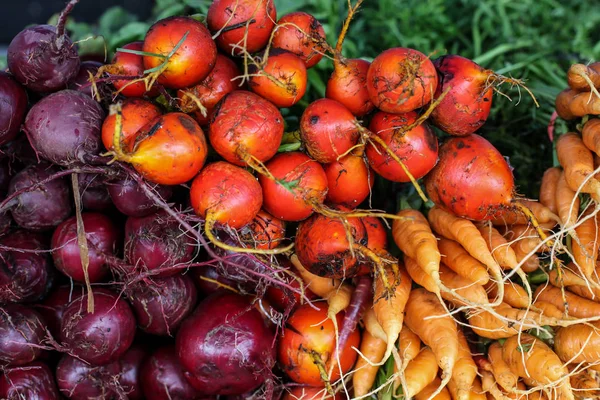 Barbabietole e carote rosse fresche — Foto Stock