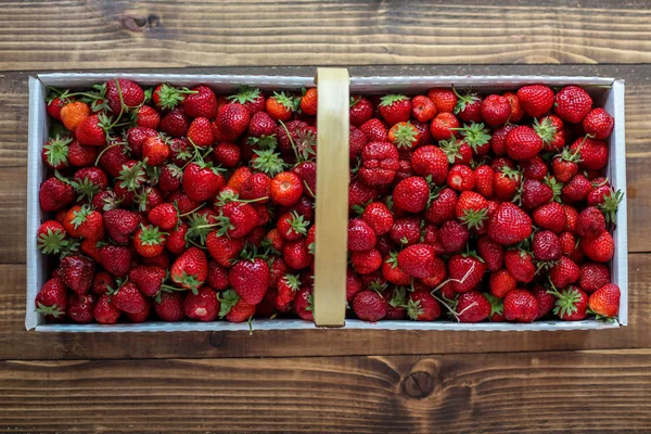 Fragola dentro il cestino di carta — Foto Stock