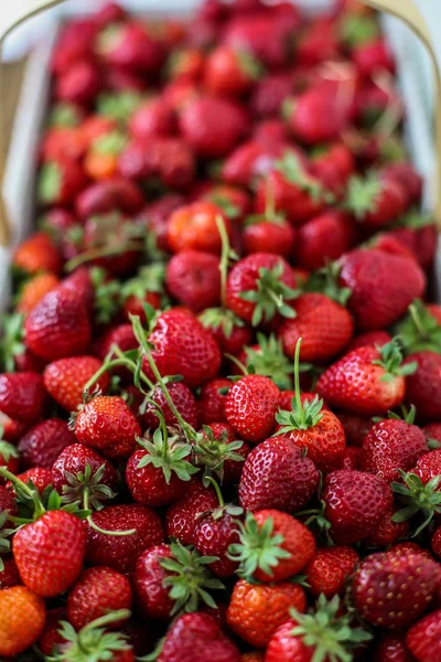 Fragola nel cestino — Foto Stock