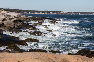 Cape Neddick yakınındaki kıyı manzarası 
