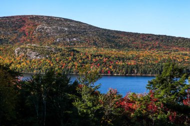 Gölet ile sonbahar renkleri