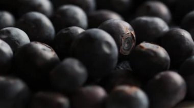 Dönen Yaban Mersini Makro Close Up