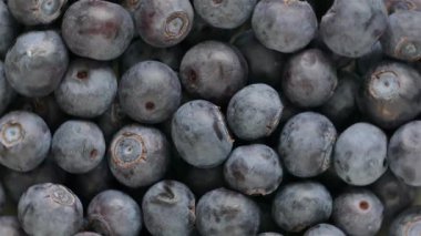 Dönen Taze Yaban Mersini Arka Plan yakın