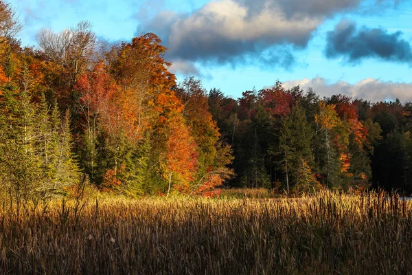 Cores de outono de Vermont — Fotografia de Stock