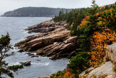 Acadia NP 'de sonbahar renkleriyle kayalık kıyı şeridi