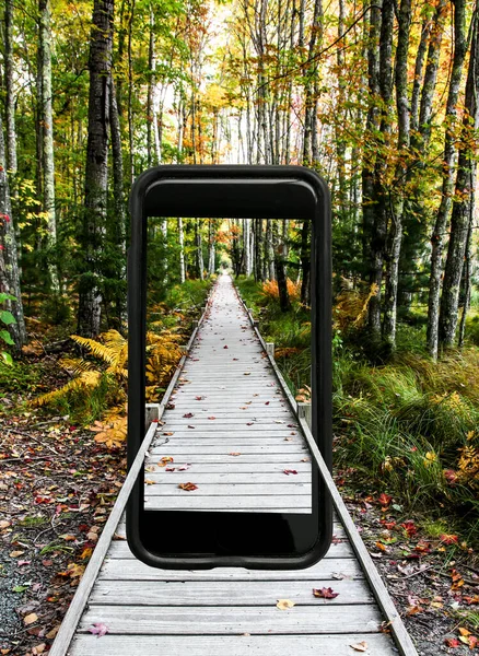 秋景里里外外电话相框 — 图库照片