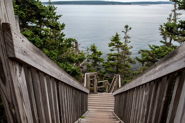 通往大西洋海岸的木制楼梯 — 图库照片