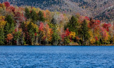 Suyun yanında güzel sonbahar yaprakları