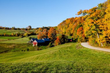 WOODSTOCK, VERMONT - 9 Ekim 2020: Çakıl taşlı arka yolu, güzel sonbahar renkleri ve mavi gökyüzü ile gündoğumunda görkemli sonbahar manzarası.