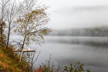 Sakin bir sonbahar gölü şafağın yumuşak ışığını yansıtır. Suyun üzerinde süzülen sis ve kıyıda süzülen ağaçlar. Sakin bir sabahta doğanın güzelliğini yakalar..