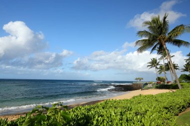 Kauai, Hawaii, ABD sabah palmiye ağaçları ile tropikal plaj görünümünü