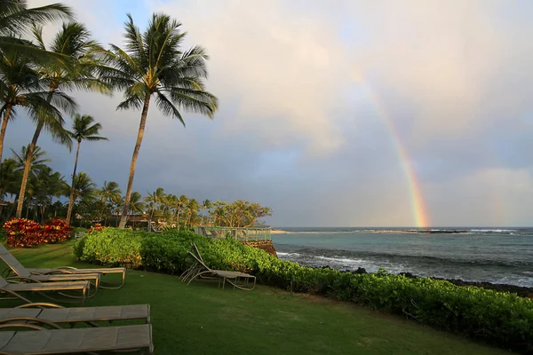 Vista Praia Tropical Com Palmeiras Com Arco Íris Kauai Havaí — Fotografia de Stock