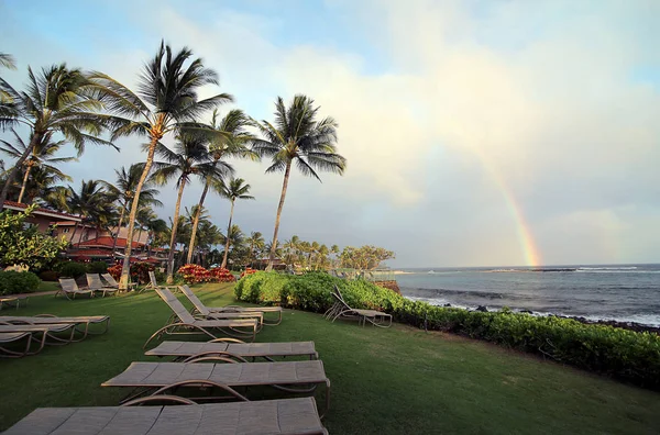Palmiye ağaçları ile gökkuşağı, Kauai, Hawaii, ABD ile tropikal plaj görünümünü