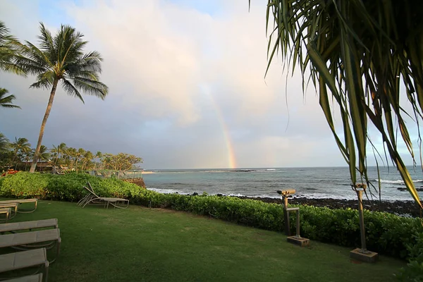 Vista Della Spiaggia Tropicale Con Palme Con Arcobaleno Kauai Hawaii — Foto Stock