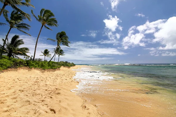 Weergave Van Het Tropische Strand Met Palmbomen Rustige Ochtend Kauai — Stockfoto