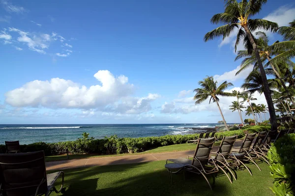 Vista Praia Tropical Com Duas Palmeiras Calma Manhã Oceano Kauai — Fotografia de Stock