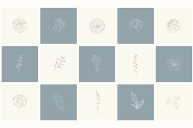 Çiçek tasarım öğeleri kümesi: bitkiler, dalları, yaprakları.