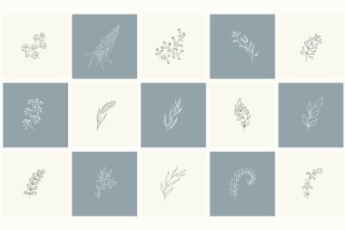 Çiçek tasarım öğeleri kümesi: bitkiler, dalları, yaprakları.