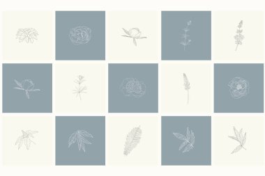 Çiçek tasarım öğeleri kümesi: bitkiler, dalları, yaprakları.