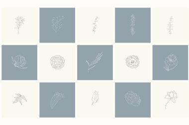 Çiçek tasarım öğeleri kümesi: bitkiler, dalları, yaprakları.