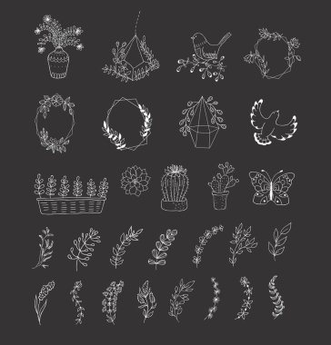 çiçek tasarım öğeleri kümesi.