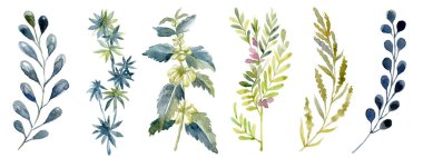 Suluboya ile orman yaprak ayarla. Yıkama çizim şekil.