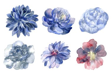 Çiçek tomurcukları ayarla, düğün kartı kapağını için öğeleri