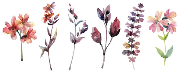 Takken met bladeren en bloemen, florale set — Stockfoto