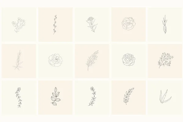 Pakket floral designelementen: planten, takken, bladeren, rose, peony. — Stockvector