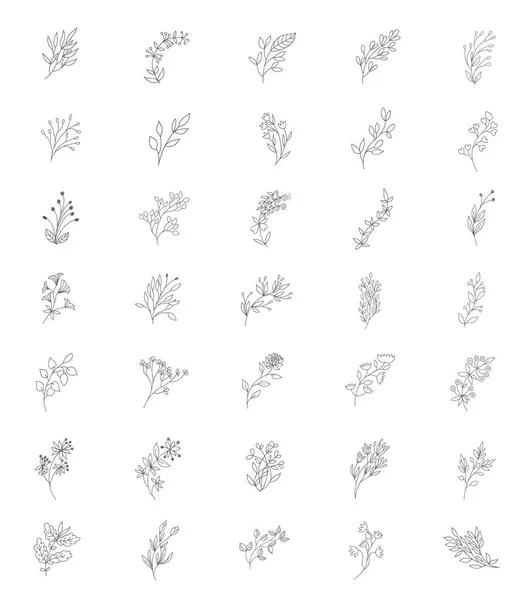 集花卉设计元素: 植物、树枝、叶子. — 图库矢量图片