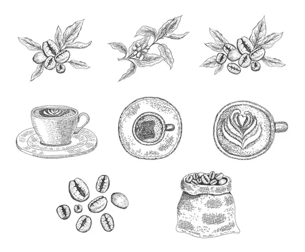 Набір чашок з кавовим напоєм, кавові зерна, листя, мішок на білому тлі — стоковий вектор