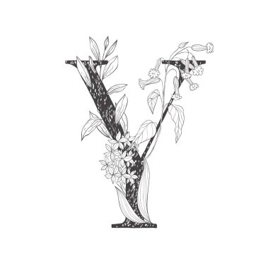 Çiçek botanik alfabesi. Bitki ve çiçekli mektup.