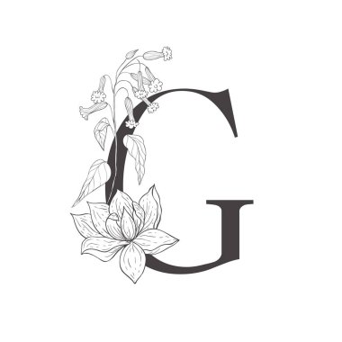 Çiçek botanik alfabesi. Bitki ve çiçekli mektup.