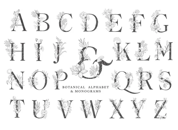 Blütenbotanisches Alphabet. Brief mit Pflanzen und Blumen. — Stockvektor