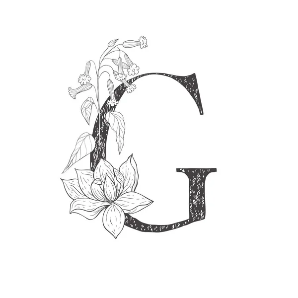Floral βοτανικό αλφάβητο. Γράμμα με φυτά και λουλούδια. — Διανυσματικό Αρχείο