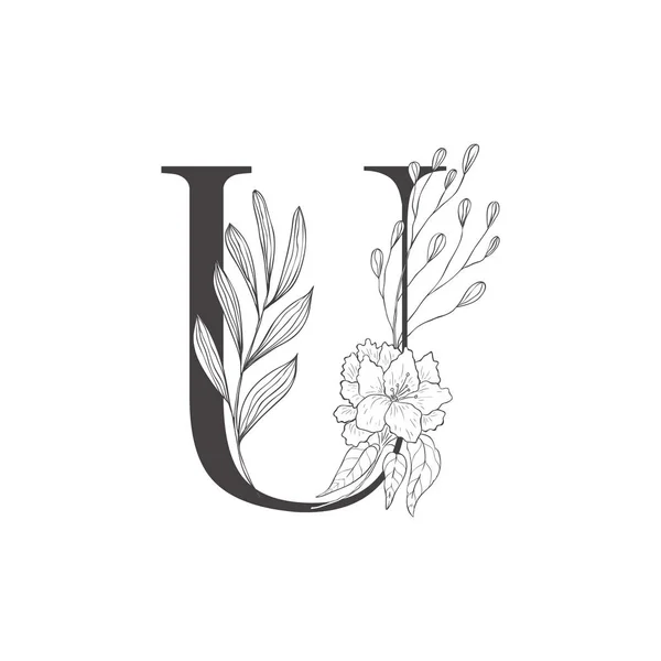 Alphabet botanique floral. Lettre avec plantes et fleurs . — Image vectorielle