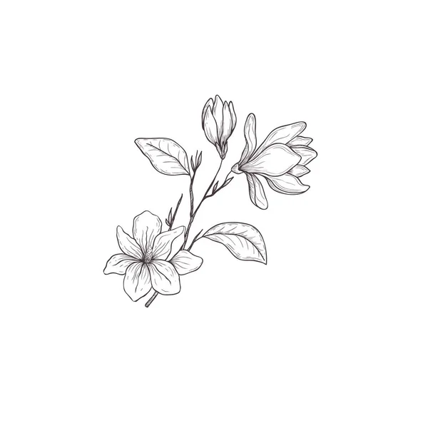 Floral mão desenhada elementos de design. Arte de linha isolada no fundo branco . —  Vetores de Stock