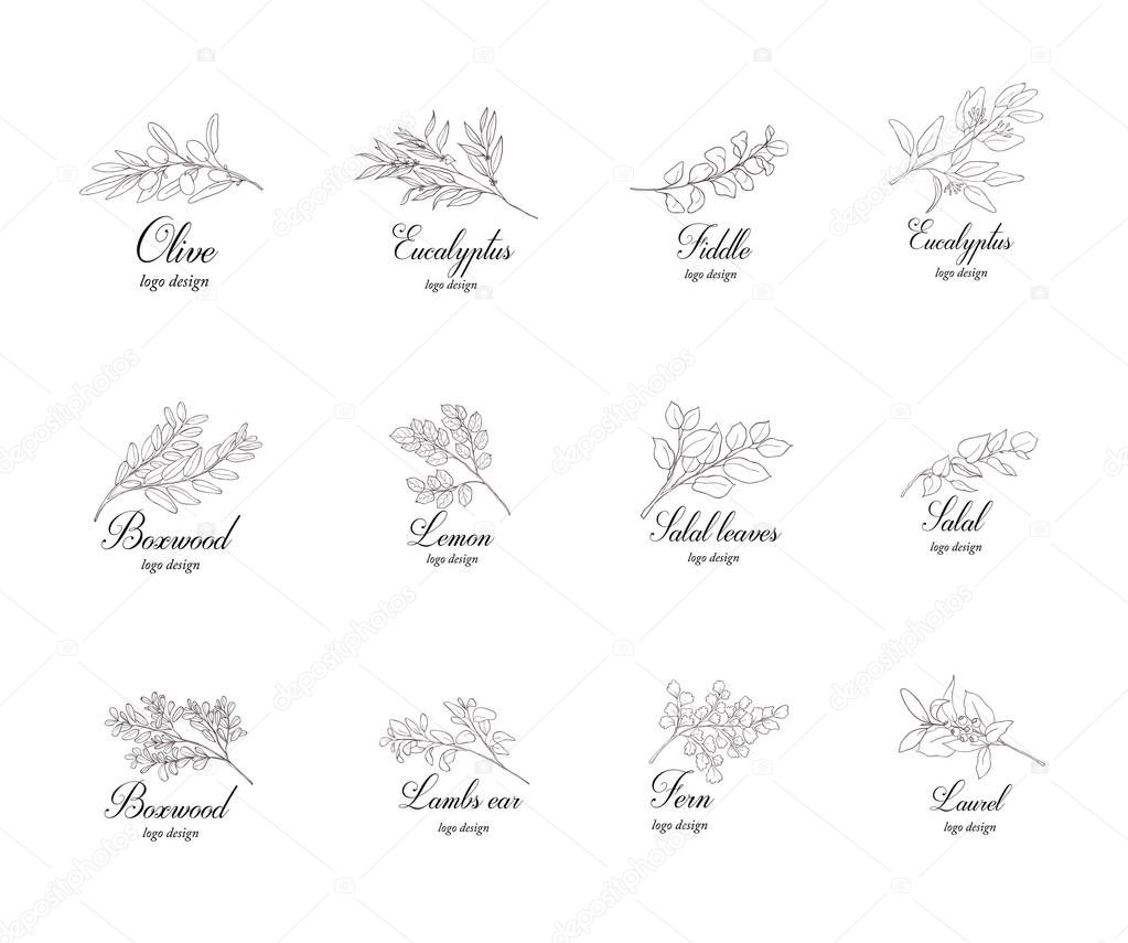 Set of plant branches. Greenery design elements.