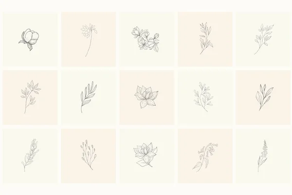 ロゴの花柄要素セット. — ストックベクタ