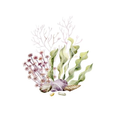 Deniz yosunları ve deniz kabuklarıyla yazdır. Su altı dünyası