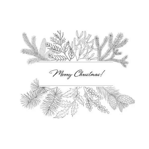 Cadres d'hiver avec plantes et branches persistantes . — Image vectorielle