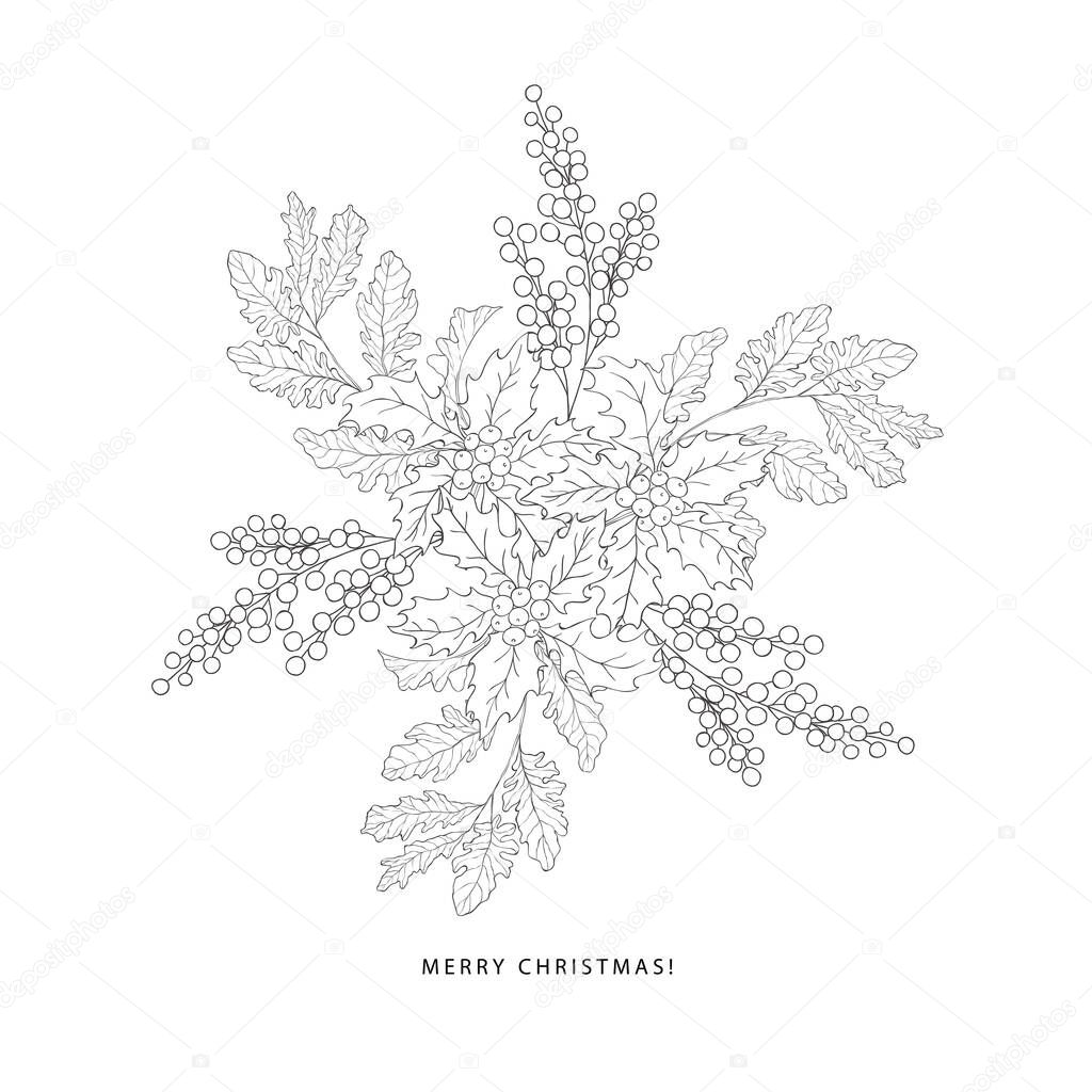 Winter bouquet with evergreen plants. Vector