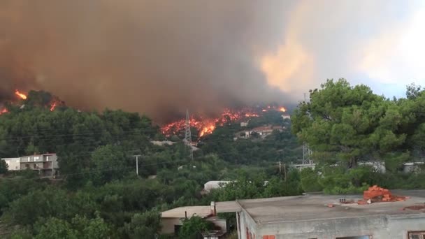 Zrnovnica Split Croația Iulie 2017 Incendiu Sălbatic Masiv Care Arde — Videoclip de stoc