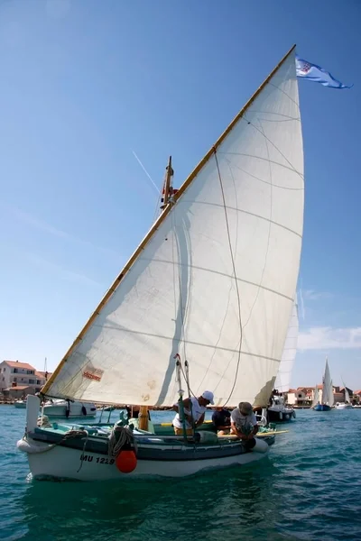 Betina Croatia August 2011 Traditional Wooden Sailboat Regatta Latin Sail — Stock Photo, Image