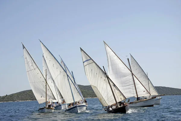 Betina Croatia August 2009 Traditional Wooden Sailboats Regatta Latin Sail — Stock Photo, Image