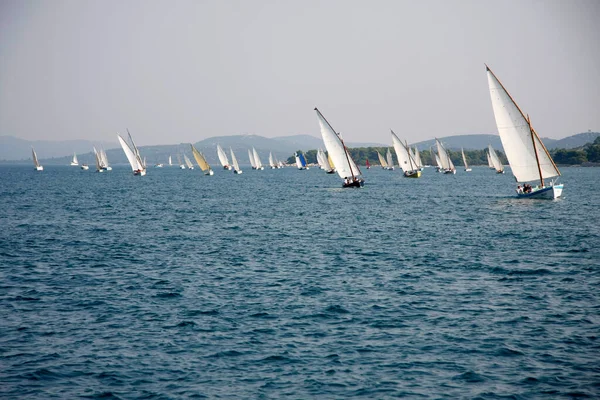 Murter Kroatien September 2009 Traditionella Träsegelbåtar Regattan Latin Sail — Stockfoto