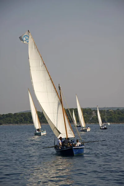 Murter Kroatien September 2009 Traditionella Träsegelbåtar Regattan Latin Sail — Stockfoto